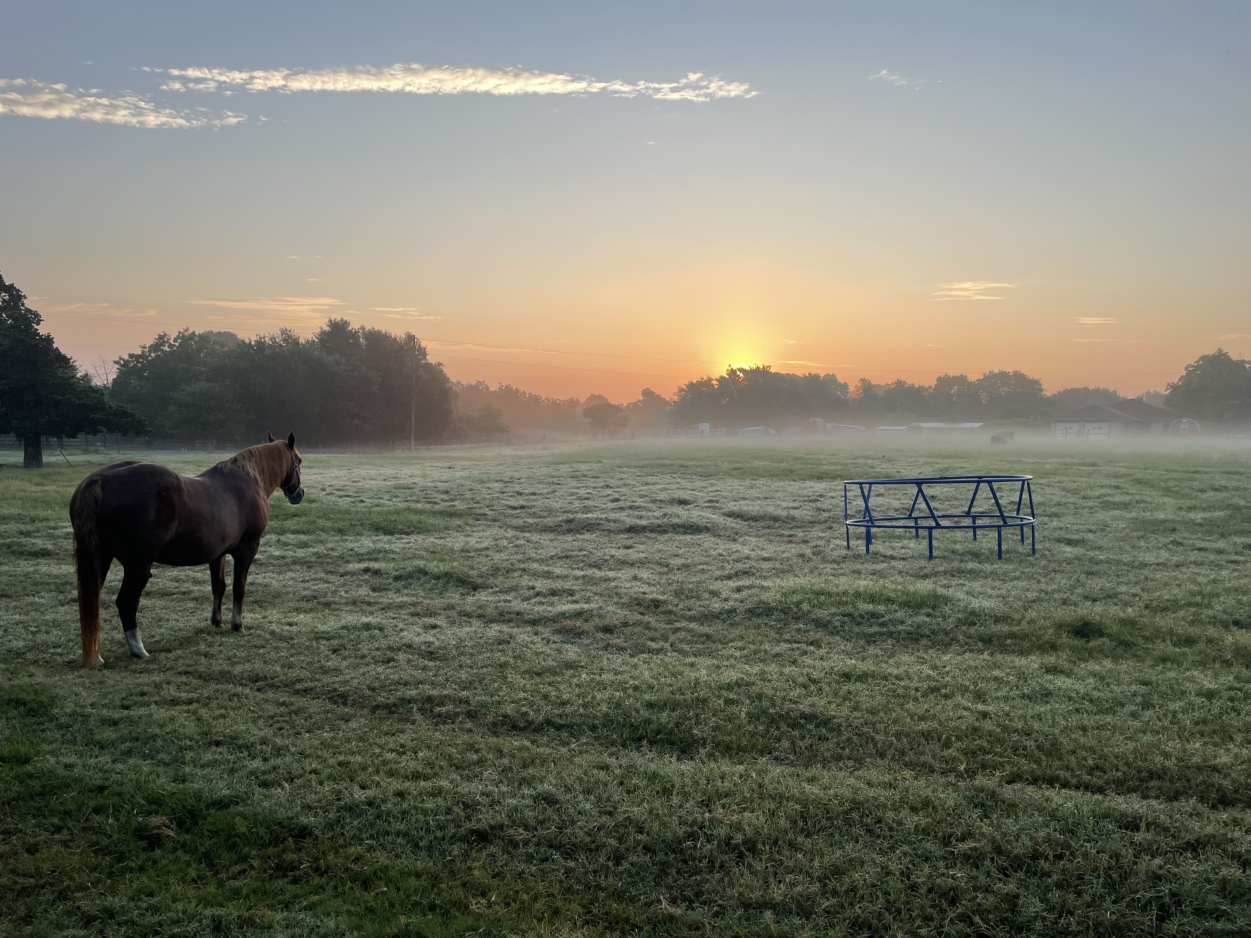 I took this one!! Good Morning from Texas!!